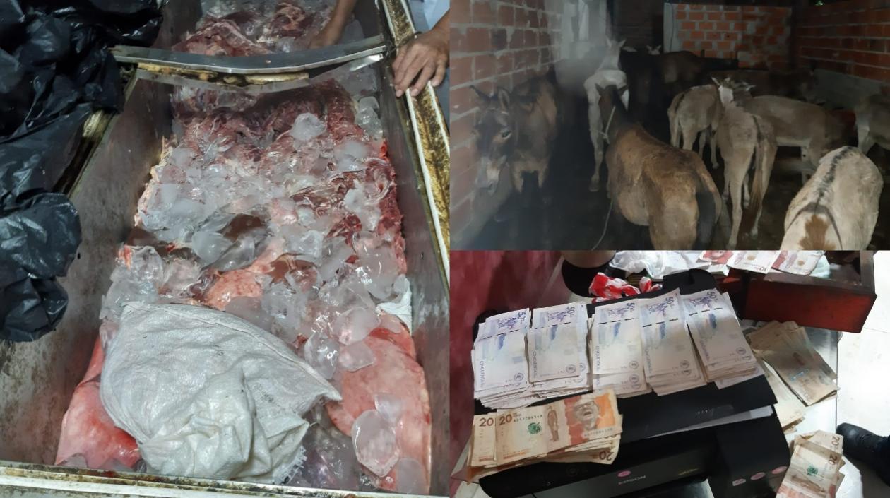 Carne, burros y caballos hallados en el operativo. 