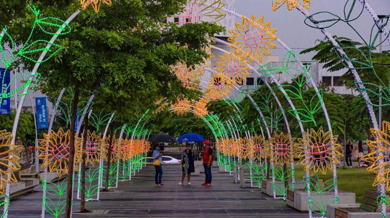 Los girasoles serán los protagonistas en el alumbrado navideño de la Gobernación del Atlántico.