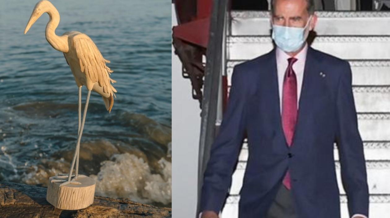 La garza que recibirá el Rey Felipe VI.