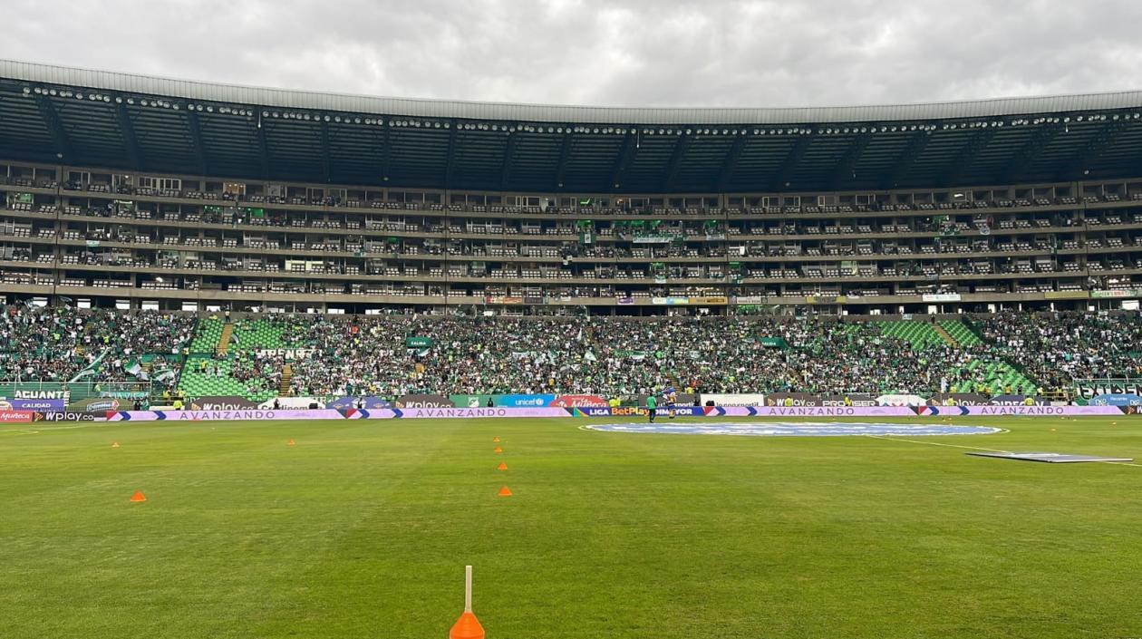 Así luce el estado de Palmaseca,