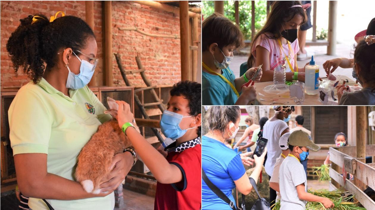 Actividades en el Zoológico de Barranquilla.