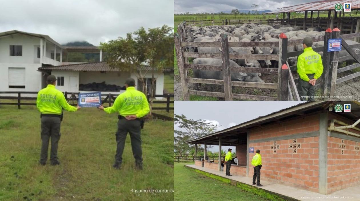 Parte de los bienes de 'Otoniel' y 'Nicolás'.