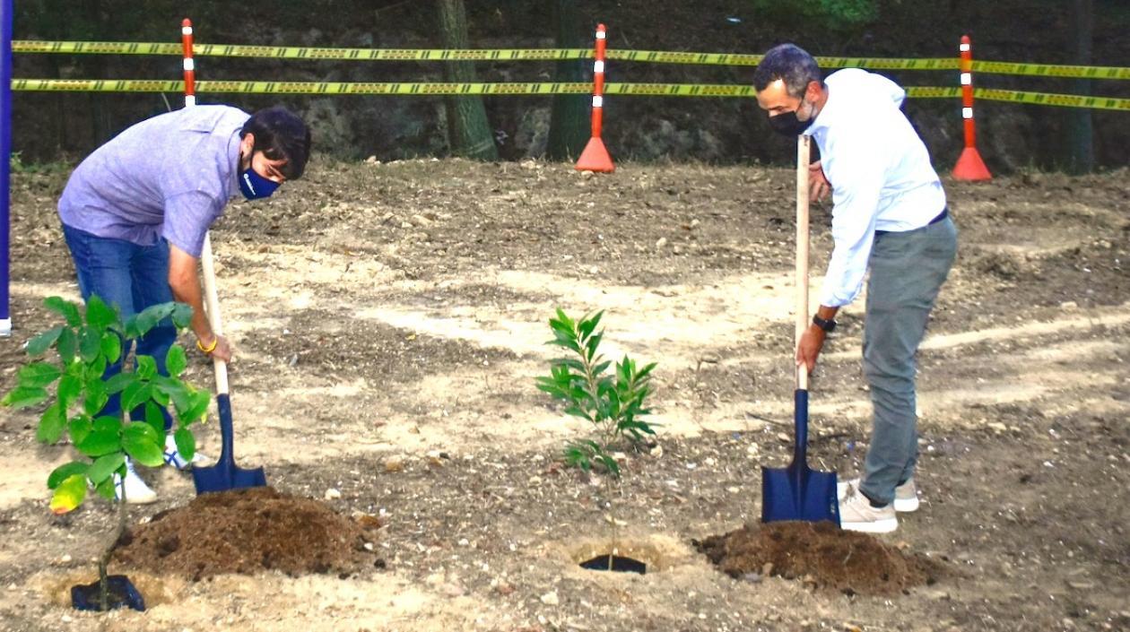 El Alcalde Jaime Pumarejo sembrando el proyecto.