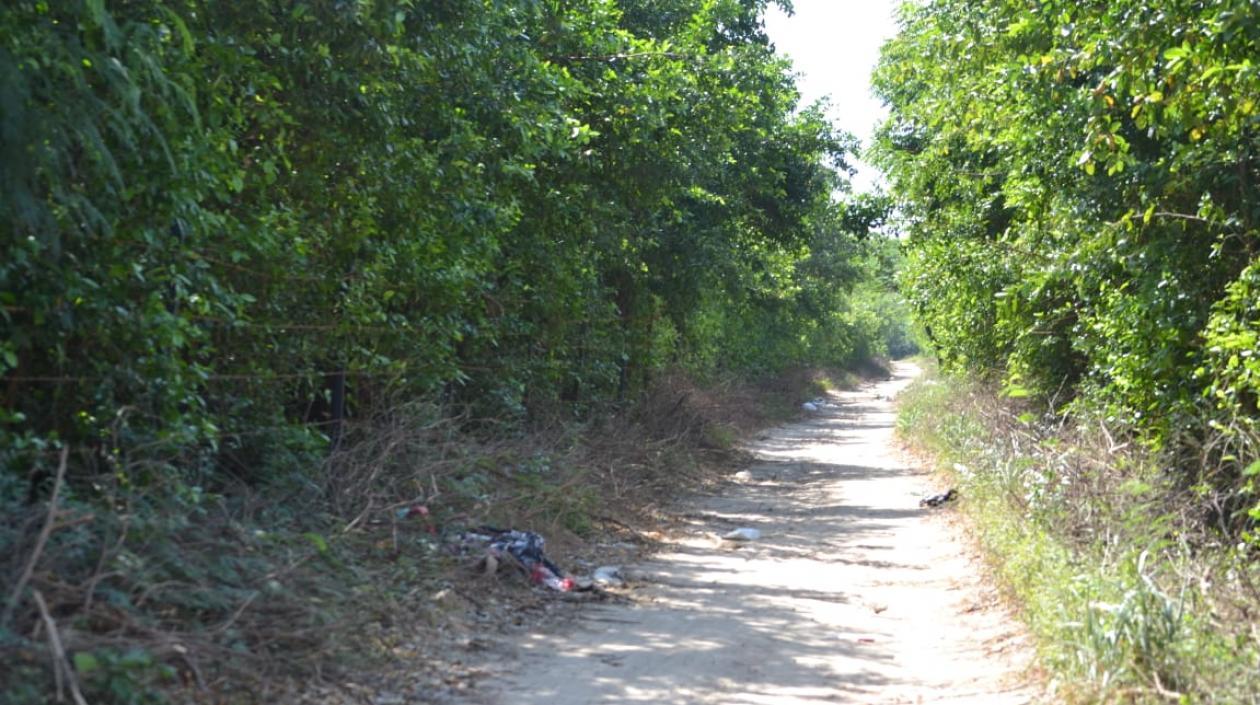 Trocha 'El Carmen', donde fue hallado el cuerpo. 