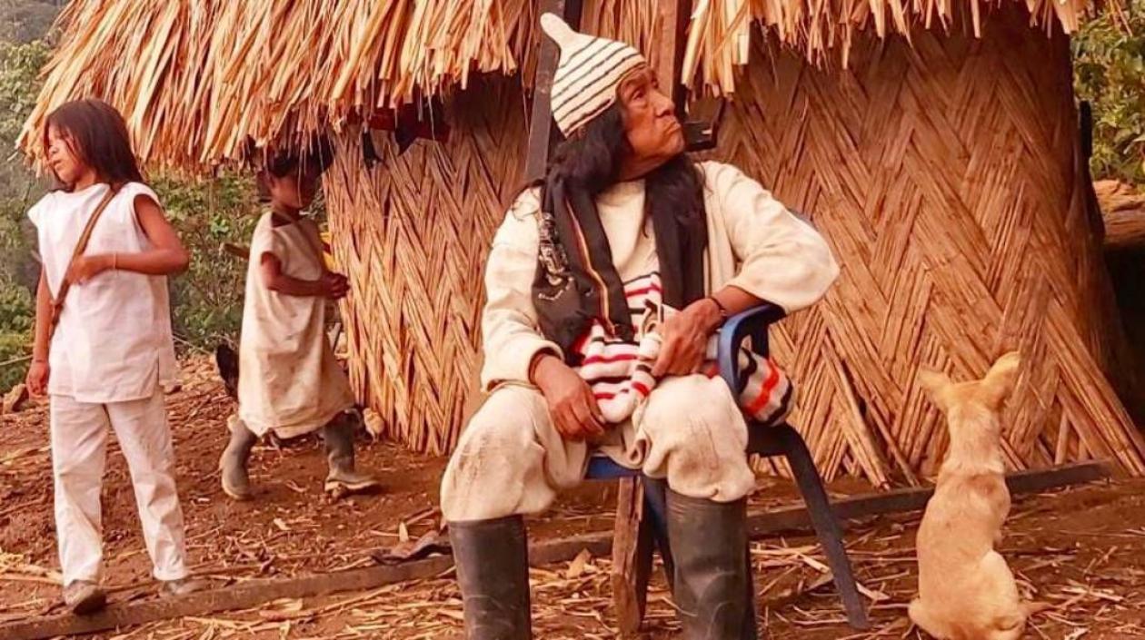 El mamo Mauricio Jandigua Awiqui.