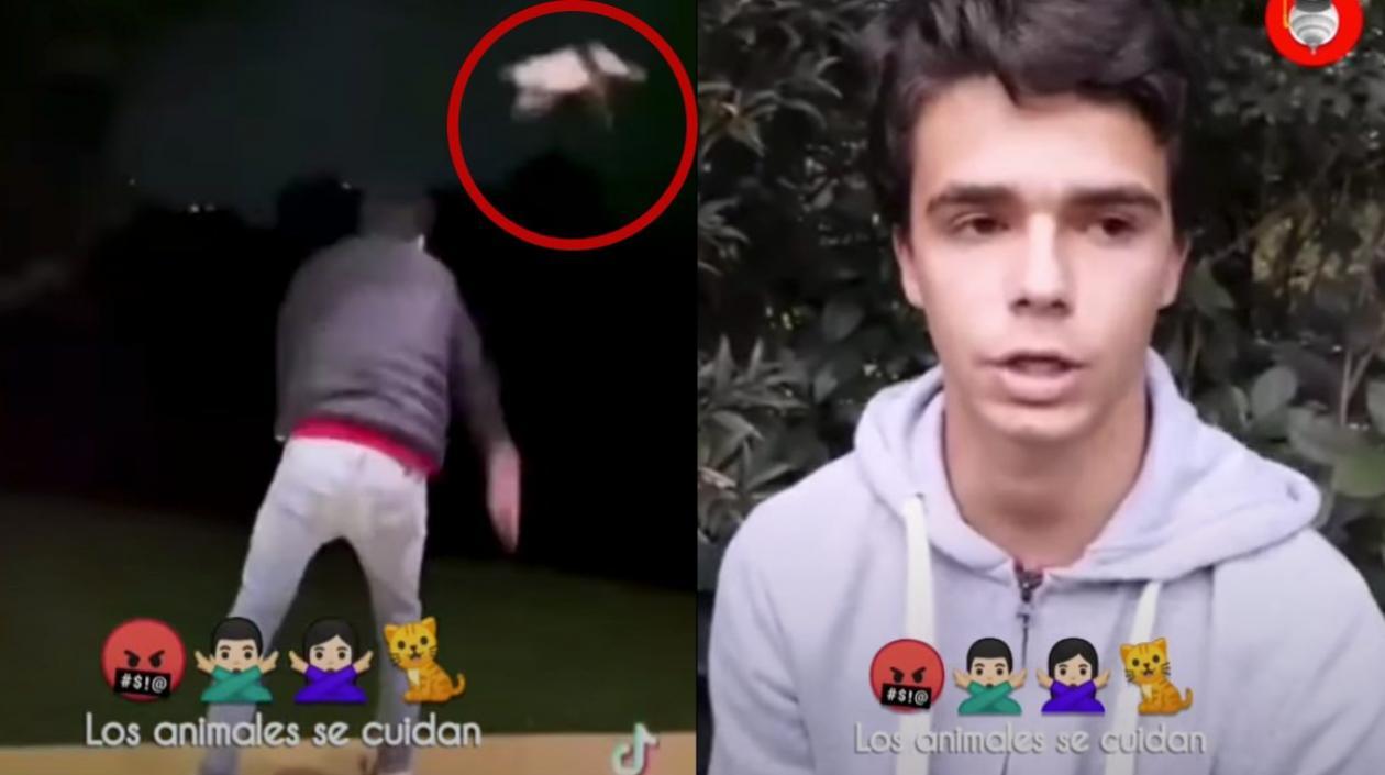 Tomás Piedrahita lanza el gato y luego pide disculpas. 