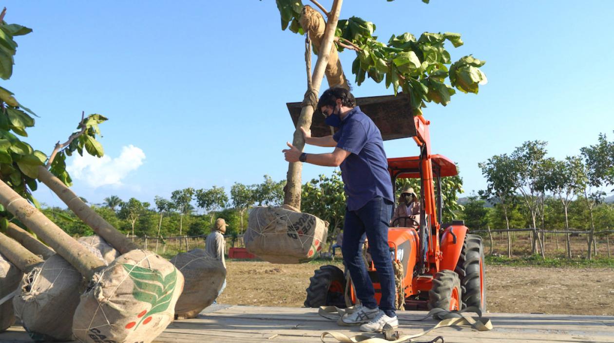 El Alcalde Jaime Pumarejo presidiendo jornada de arborización.