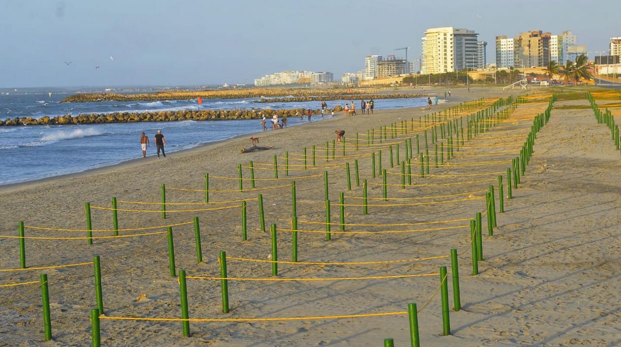 Abren sector de las letras en Marbella para el disfrute de los turistas locales y foráneos.