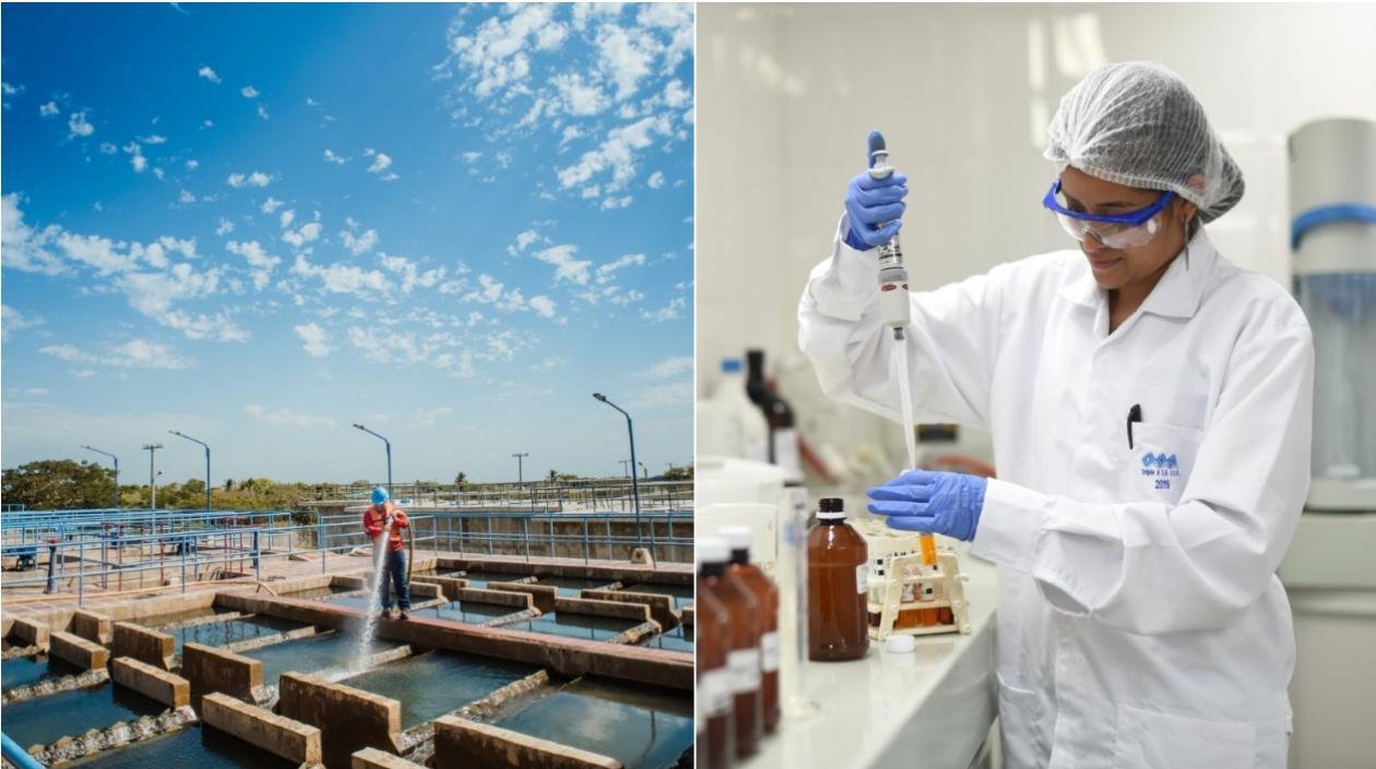 Triple A con sus colaboradores trabajan 24/7 para producir alrededor de 7.300 litros de agua potable.