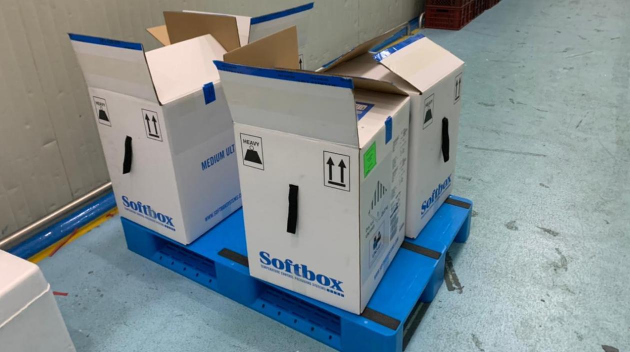 Las dosis que llegaron.