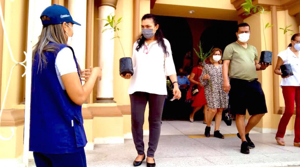 Entrega de árboles en la Iglesia del Carmen.