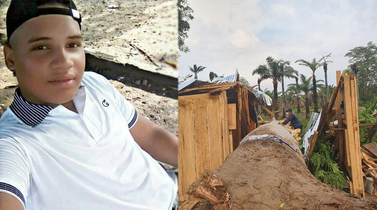 Bryan Andrés Josehp Barbosa murió tras caerle este árbol. 