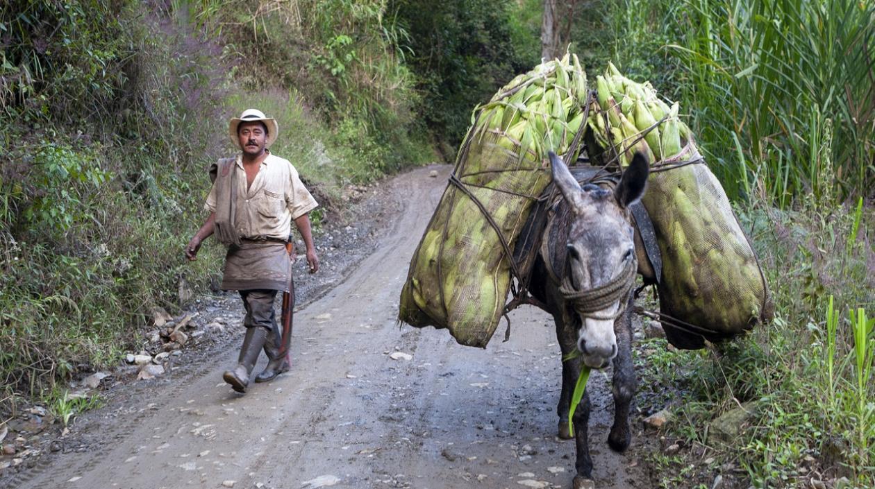 El campo colombiano ha sido afectado