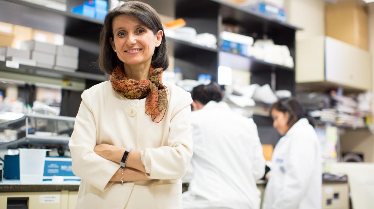 Ana María Cuervo, codirectora del Instituto de Investigación sobre el Envejecimiento en el Albert Einstein College.