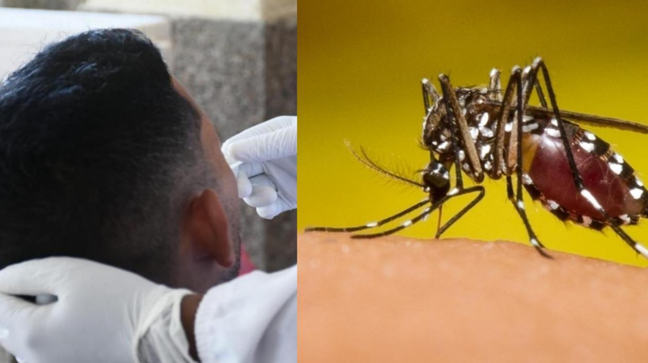 Imágenes referenciales.