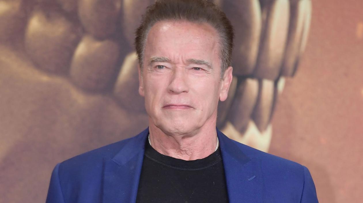 Arnold Schwarzenegger, actor.
