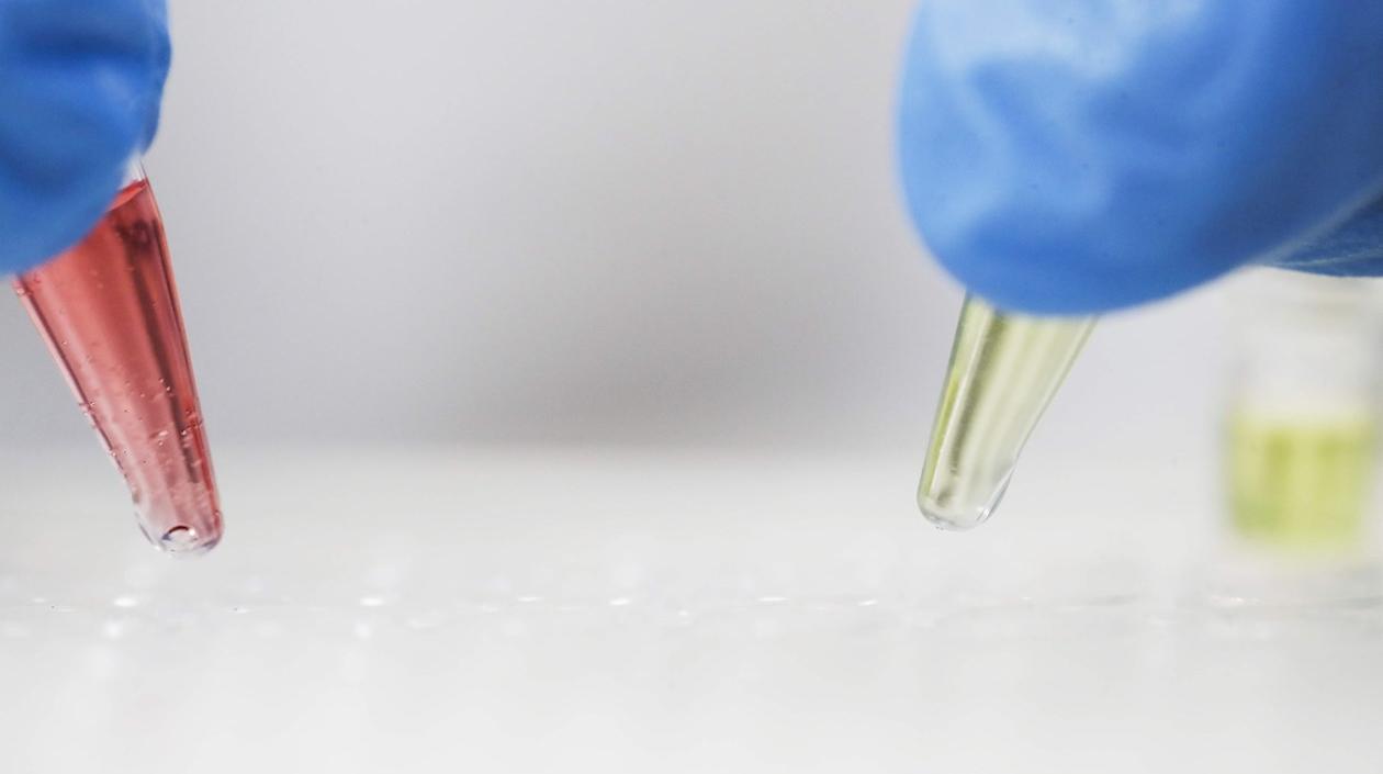 Detalle de unas muestras en un laboratorio. 