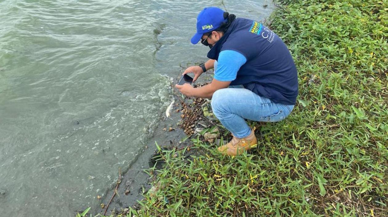 Visita técnica a la Ciénaga de Luruaco.
