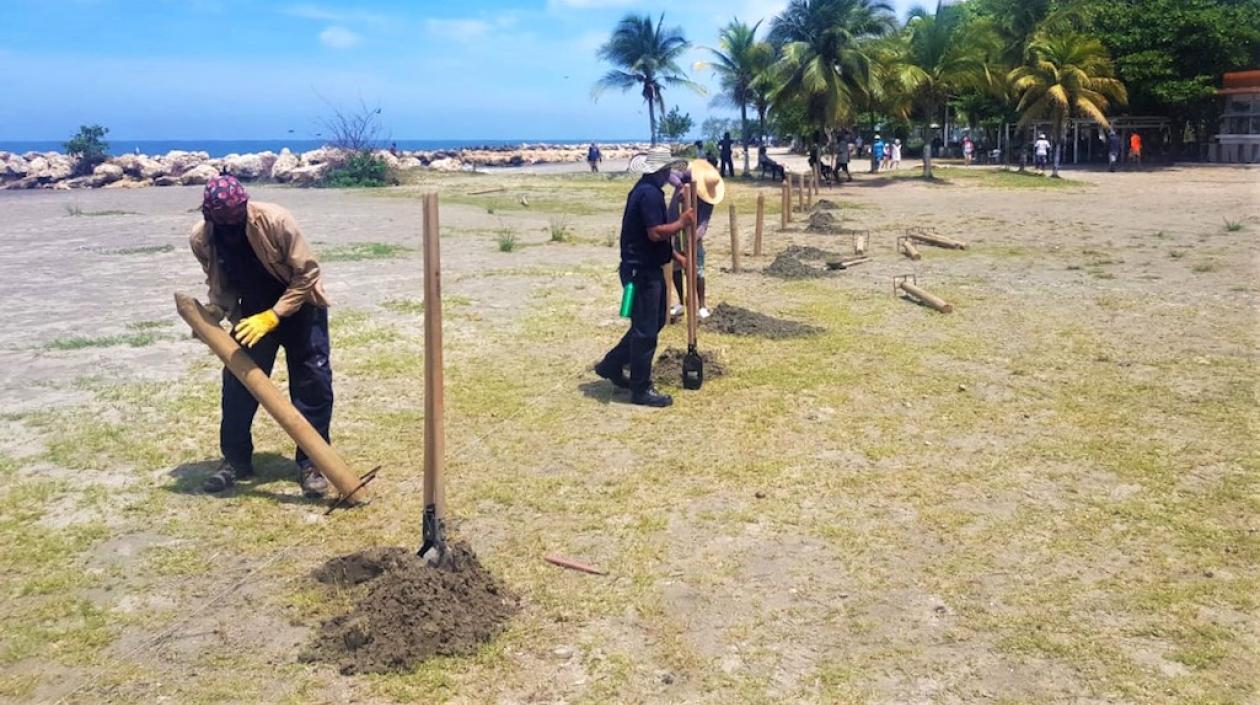 Demarcación de los nuevos sectores.