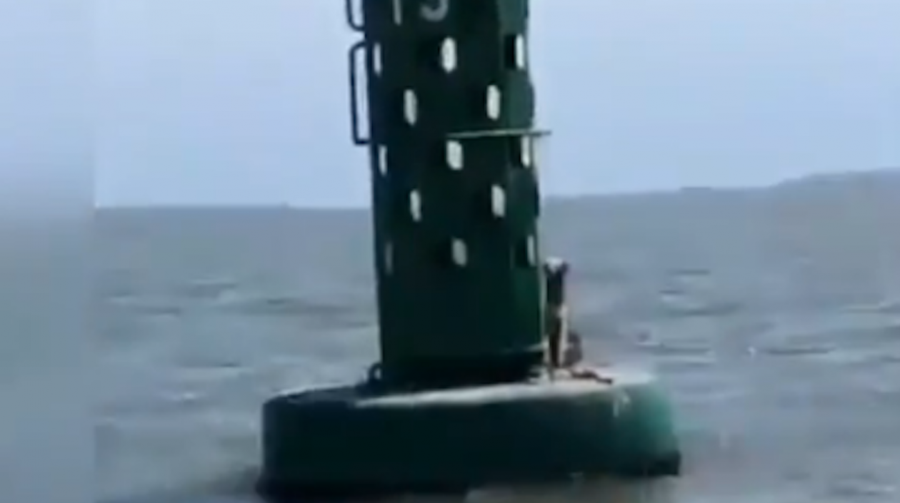 Foto del perro amarrado en la boya.