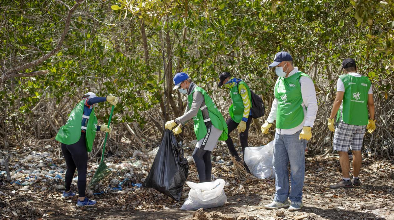 Campaña de limpieza en Puerto Mocho. 