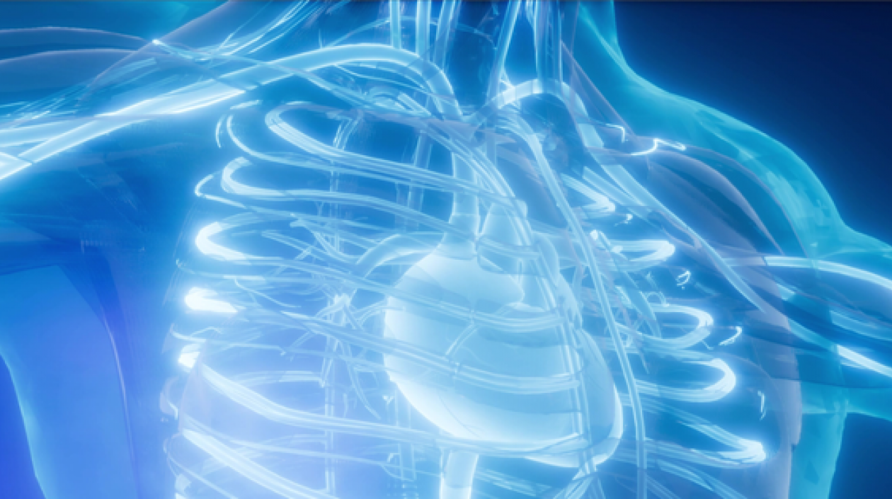 El concurso tuvo como objetivo acelerar las innovaciones en ingeniería de tejidos para beneficiar a las personas en la Tierra hoy.