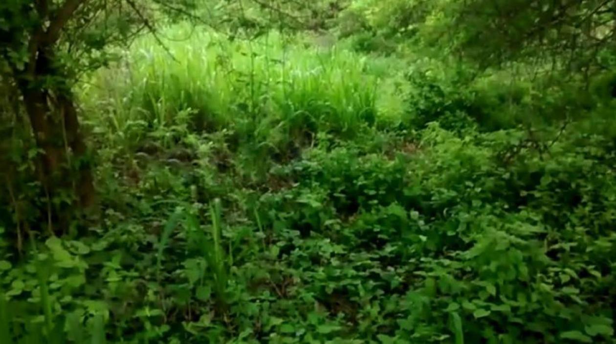 En esta zona enmontada fue encontrado el cuerpo.