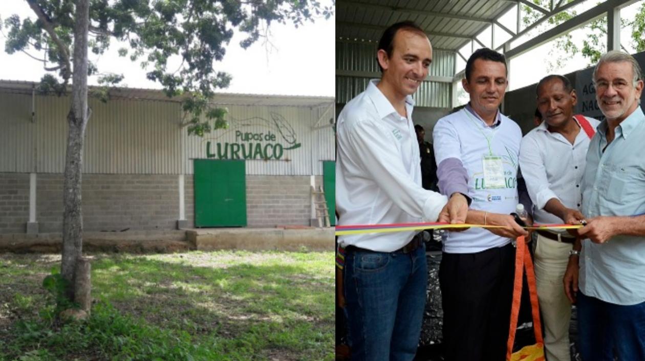 Planta de despulpadora de mangos en Pendales, Luruaco. En la otra foto, Miguel Samper inaugurando la obra.