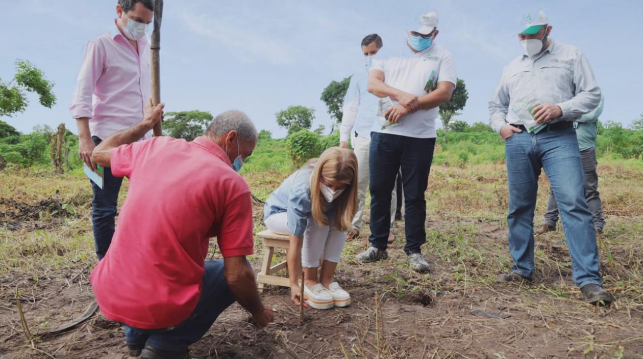 La Gobernadora Elsa Noguera.