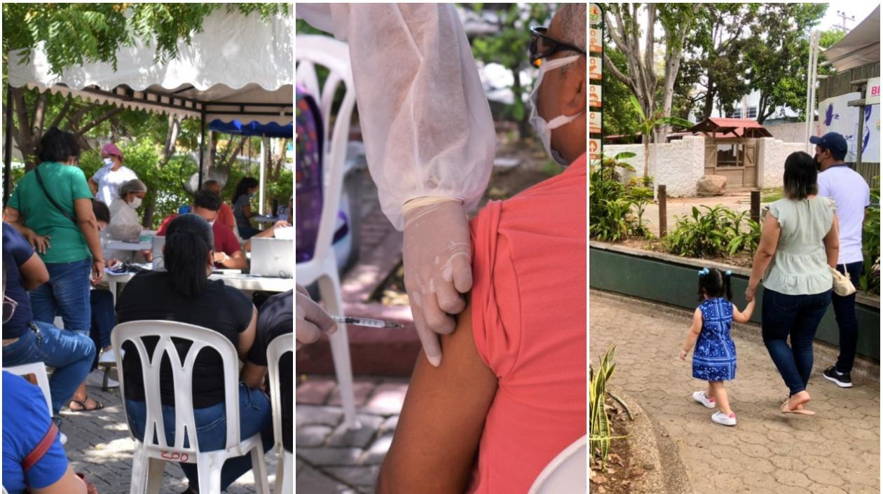 Sigue la vacunación en el Zoo de Barranquilla.