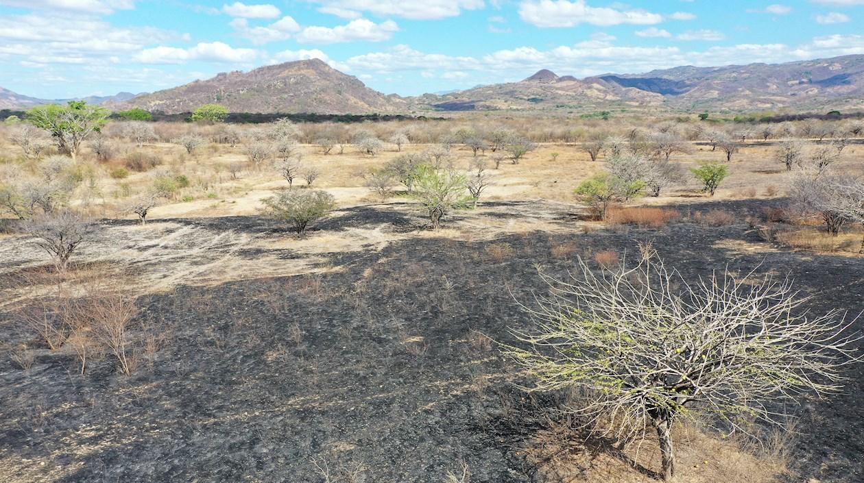  La pandemia de Covid-19 contribuyó al empeoramiento de los datos de hambre en el mundo.
