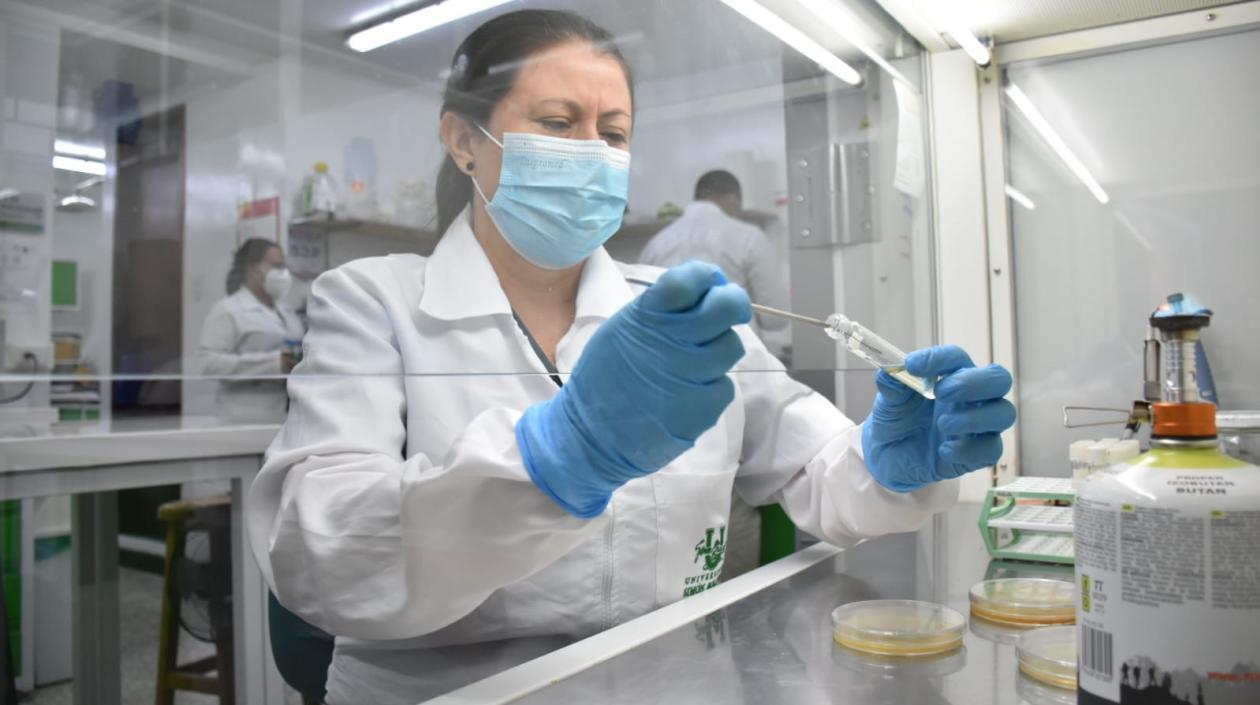 Yani Aranguren Díaz, profesora de Unisimón.