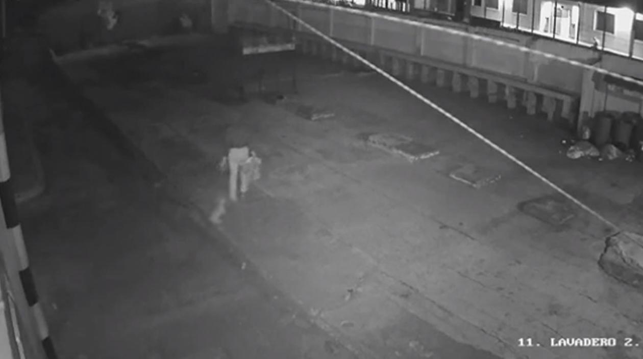 Una cámara grabó el momento de la agresión al perro dentro del batallón. 