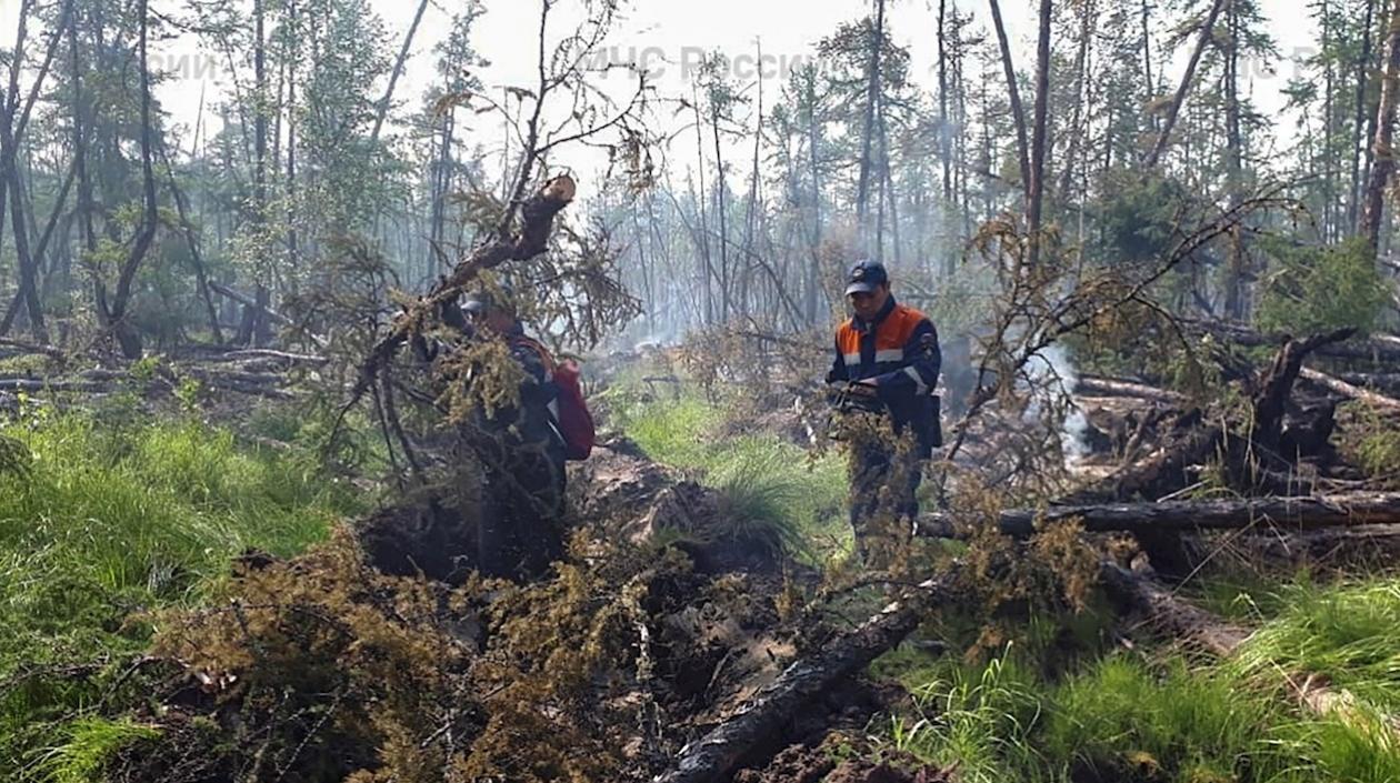 Hay 187 incendios forestales activos en Yakutia.