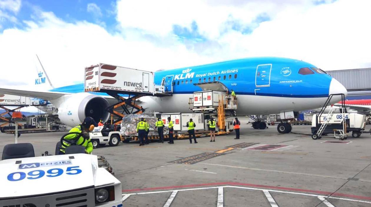 Descargue de las vacunas.