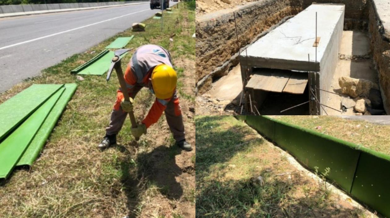 Inicia la construcción de nuevos pasos de fauna para la conservación de la fauna.