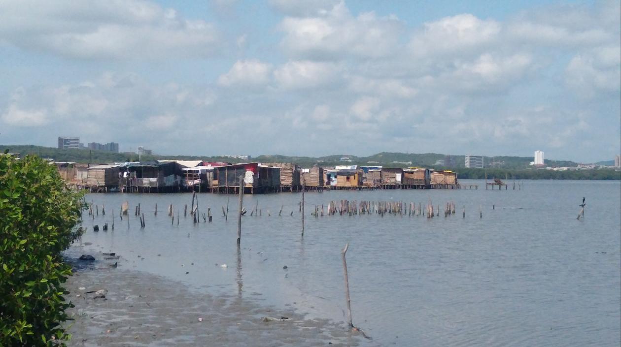 Ciénaga de Mallorquín