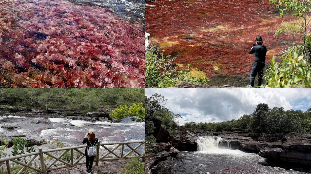Imágenes de Caño Cristales.