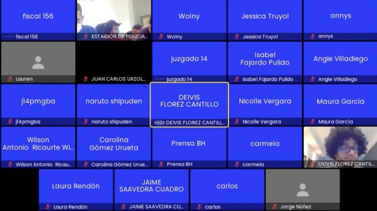 Imagen de la audiencia virtual.