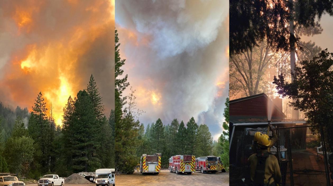 El crecimiento de Dixie en los últimos días ha sido muy rápido y alarmante.