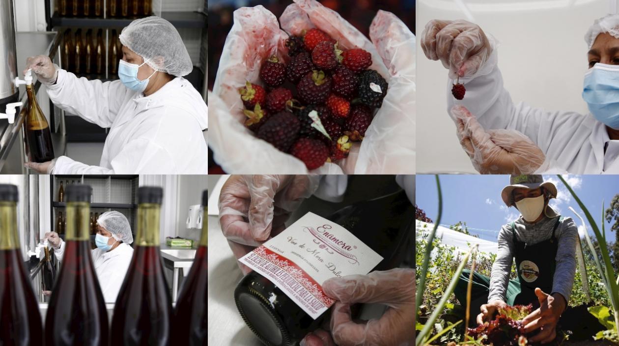 Imágenes de la producción de los campesinos.