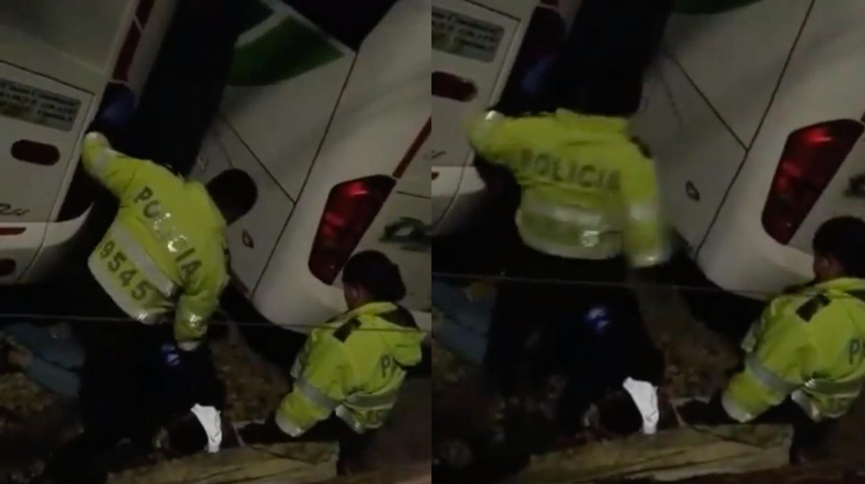 Imágenes del brutal ataque.