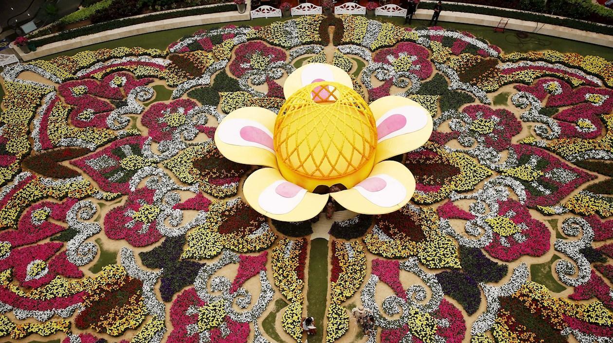 Vista general hoy del tapiz de flores que realiza el Centro Comercial Santafé durante la celebración de la Feria de las Flores, en Medellín (Colombia). 