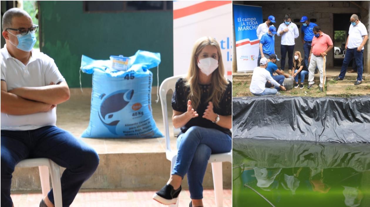 La Gobernación sigue aportando a la generación de ingresos y seguridad alimentaria de los atlanticenses. 