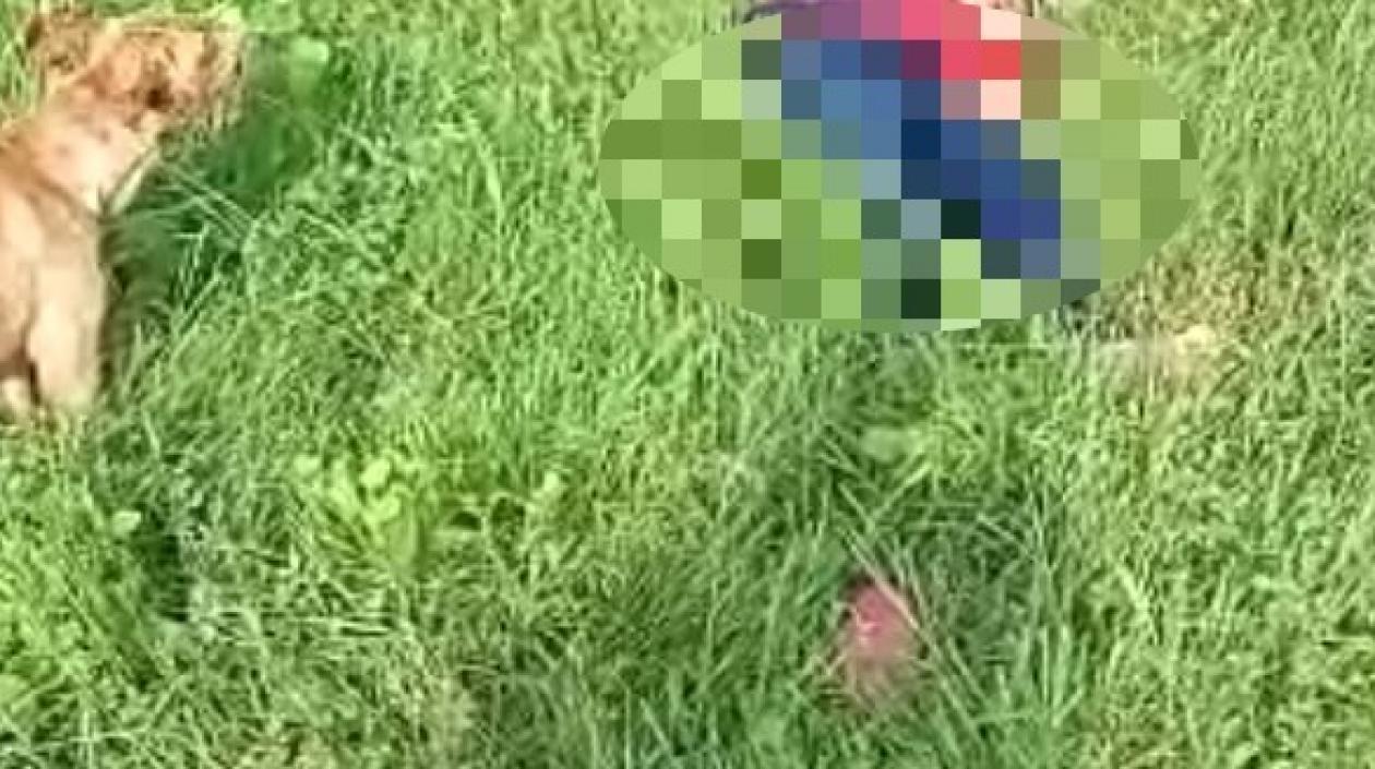 Cuerpo de venezolana fallecida