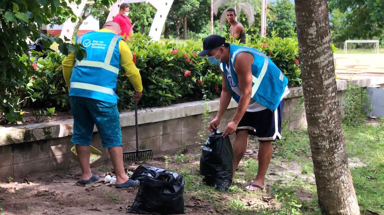 Limpieza de los parques por parte de los infractores.