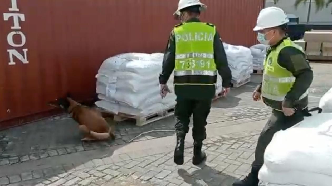 Decomiso de droga en el puerto de Cartagena. 
