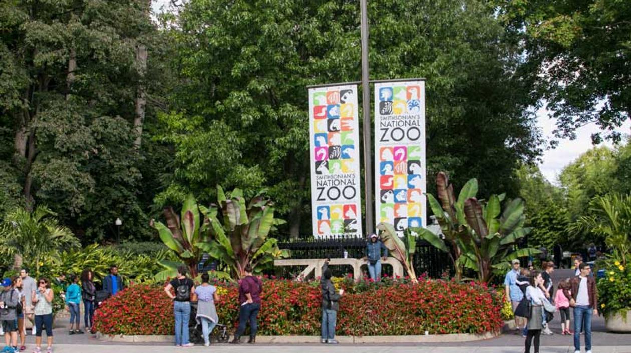 Zoológico de Washington D.C.