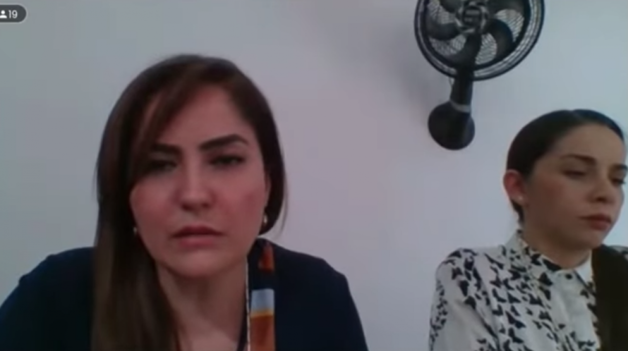 La delegada de la Fiscalía durante la audiencia.