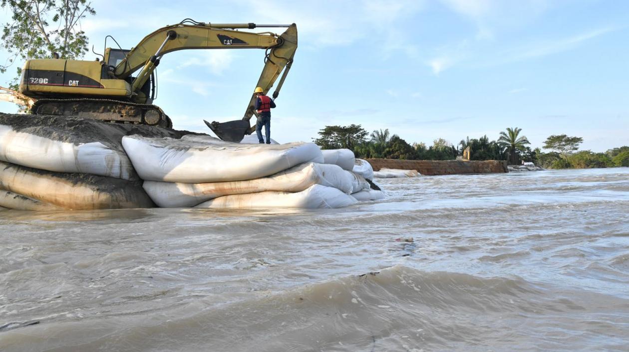 Imagen de los trabajos.